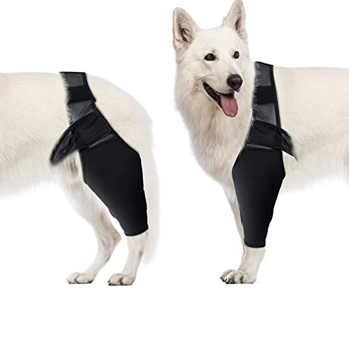 Ellenbogenbandage für Hunde, Ellenbogenbandage, Kompressionsbandage, Kniebandage für Hunde, Ellenbogen- und Schulterstütze, Dysplasie, Arthritis, Ellenbogenschwielen, Druckgeschwüre(XL) von Luqeeg