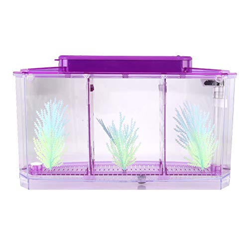 Kleines Fisch-Isolierungs-Aquarium, LED-Acryl-Aquarium, Transparente Fisch-Isolierungsbox mit 2 Isolationsplatten für Kleine Fische, Betta-Garnelen, Clownfische, Guppys von Luqeeg