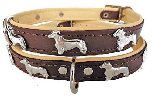 *DACKEL* Hunde Halsband, Leder, Halsumfang 28-32cm oder 30-36cm oder 36-41cm, BRAUN-Beige NEU (30-36cm/40cm/20mm)/483/ von Lusy011