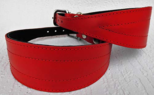 Greyhound WINDHUND Podenco Halsband, Halsumfang 41-50cm, Leder+ ROT (16-12-656) von Lusy011