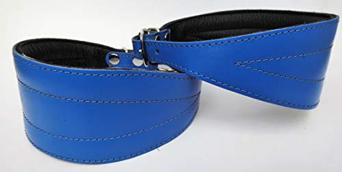 Greyhound WINDHUND Podenco Halsband, Halsumfang 33-38cm, Leder *BLAU* (512-553) von Lusy011