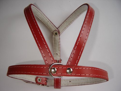 Hunde Geschirr, Brustkorb 38-45 cm, Echt Leder + ROT NEU (PL.21.9.1-80) von Lusy011