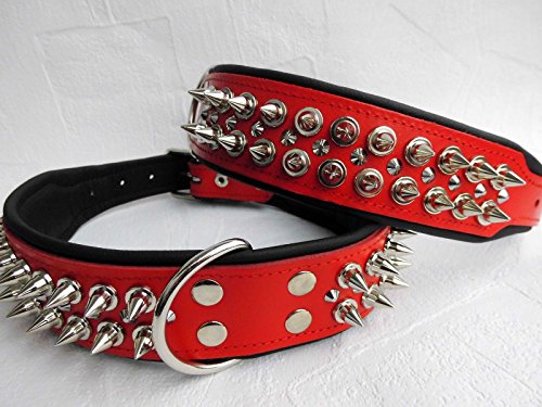 Hunde Halsband - Halsumfang 52-60cm/50mm,Nieten ROT- Schwarz (PL.5-03-13-72) von Lusy011