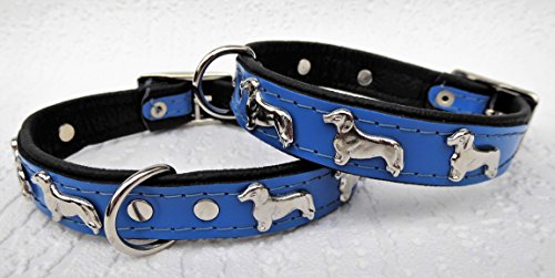 *DACKEL* Hunde Halsband, Leder, Halsumfang 28-31cm, 30-36cm, 36-41cm,* BLAU* NEU (28,31cm) von Lusy011