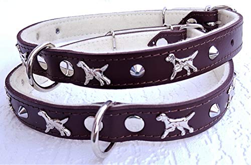 *Setter* Hunde Halsband - HundehalsbandHalsumfang 47-59cm/30mm, Leder. BRAUN (PL.4.02 * 2.79) von Lusy011