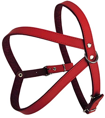 Lusy011 Geschirr Hundegeschirr, Brustkorb 64-73cm, 70-80cm, 78-87cm Echt Leder ROT NEU (Brustumfang 64-73cm/74cm) von Lusy011