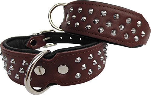 Leder Halsband - Hundehalsband, Nieten, Halsumfang 33-41cm/45mm, BRAUN - Schwarz, NEU (897) von Lusy011