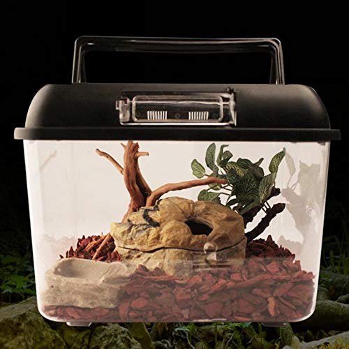 LuukUP Tortoise Eidechsen Reproduktion Box Kunststoff Robustes Aquarium, Futternapf Feeder (A) von LuukUP