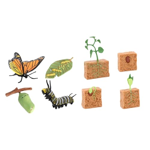 Luwecf Lebenszyklus Figuren Spielzeugset Schmetterling Und Bohnenpflanzen Lebenszyklus Kollektion von Luwecf