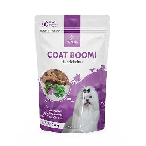 Hundekekse Coat Boom Natürlicher Snack für Hunde von Lux4Kids