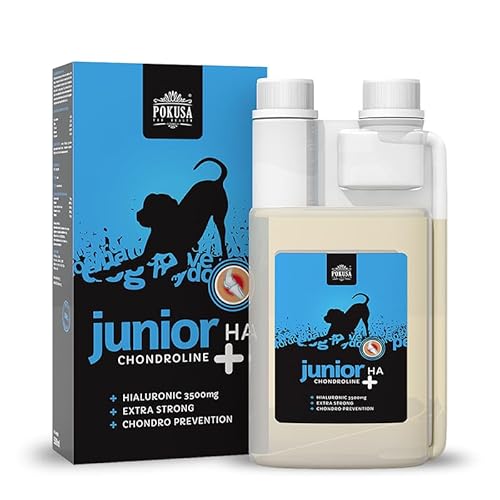 Lux4Kids ChondroLine JuniorPlus HA Unterstützung für Junge Hunde von Lux4Kids