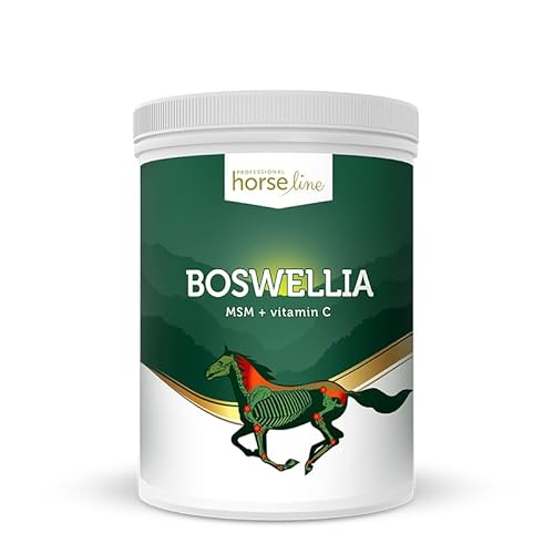 Lux4Kids HorseLinePRO Boswellia Serrata Regeneration und Schutz für Gelenke und Muskeln 2000 g von Lux4Kids