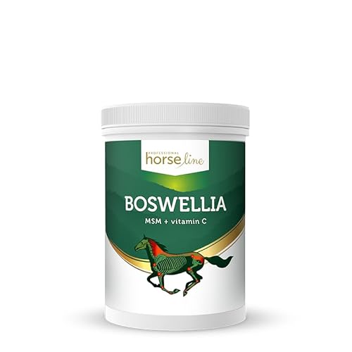 Lux4Kids HorseLinePRO Boswellia Serrata Regeneration und Schutz für Gelenke und Muskeln 900 g von Lux4Kids