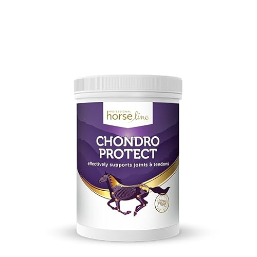 Lux4Kids HorseLinePRO Chondro Protect für Starke Pferde-Gelenke von Lux4Kids