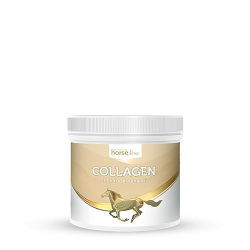 Lux4Kids HorseLinePRO Collagen Schutz und Pflege für Sehnen und Gelenke 300 g von Lux4Kids