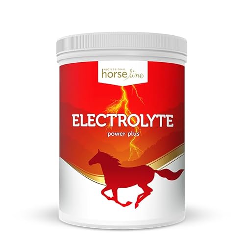 Lux4Kids HorseLinePRO Electrolyte PowerPlus ? Der Energieschub für Hochleistungspferde 1500 g von Lux4Kids