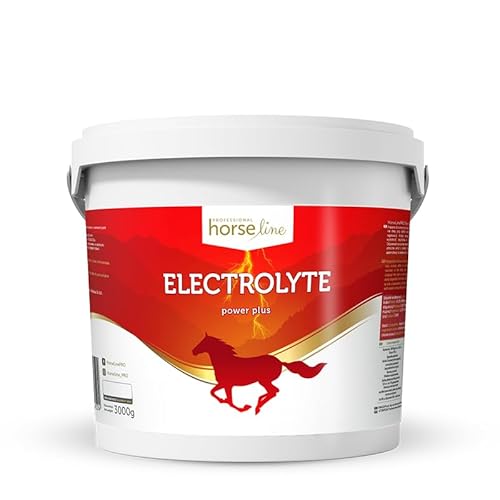 Lux4Kids HorseLinePRO Electrolyte PowerPlus ? Der Energieschub für Hochleistungspferde 3000 g von Lux4Kids