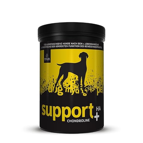 Lux4Kids Support Plus HA für den Bewegungsapparat bei Hunden von Lux4Kids