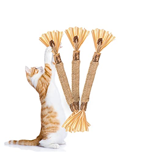 Luystoka 3 x Katzen-Kaustäbe, Katzen-Zahnspielzeug, natürliche Silberrebe, Matatabi-Katzenminze-Stäbchen, Katzenminze-Mischstäbe, Zahnreinigung, interaktiv für Kätzchen, Kätzchen von Luystoka