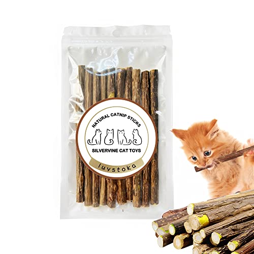 Luystoka Katzenspielzeug Silvervine für Katzen, Katzenkaustab, Katzenminze, Spielzeug, Matatabi, Silvervine Sticks, Kätzchen-Kauspielzeug für Indoor-Katzen, Holzstab, Kätzchen, Zahnen, interaktives von Luystoka