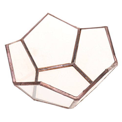 Luzhengyang Transparente geometrische Glas Terrarium Schmuckschatulle Tisch Topf für Schmuck von Luzhengyang