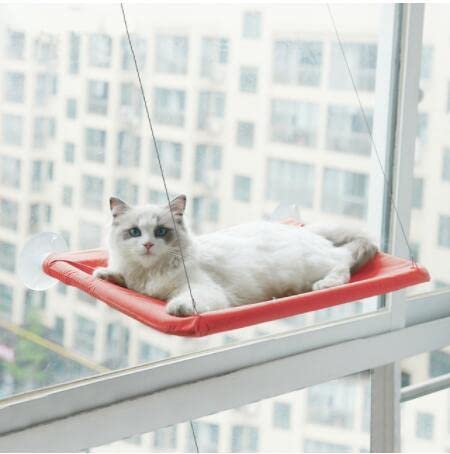 LvSenLin Bonita hamaca para Gatos, Camas colgantes para Gatos, hamaca cómoda para Ventana de gato, cama Con Manta, asiento Suave desmontable, Camas Con rodamiento de 20kg von LvSenLin