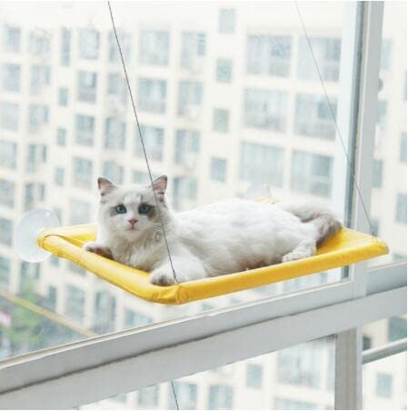 LvSenLin Bonita hamaca para Gatos, Camas colgantes para Gatos, hamaca cómoda para Ventana de gato, cama Con Manta, asiento Suave desmontable, Camas Con rodamiento de 20kg von LvSenLin