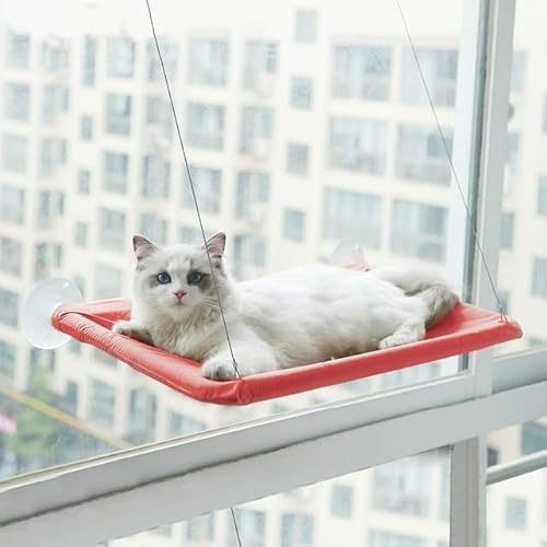 LvSenLin Cama de gato en 12 Colores, hamaca para Tomar EL sol montada en la Ventana, ventosa, casa colgante para mascotas, para percha soleada, soporta Hasta 20 kg para cualquier tamaño de gato von LvSenLin