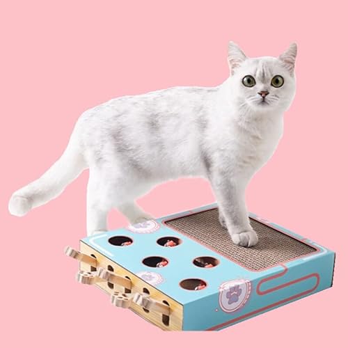 LvSenLin Cat Toy Cat Claw Board Interactive Toy for Cat Cat Scratch Board Cat Scratcher Toy Scratching Cardboard Funny Cat Toys von LvSenLin