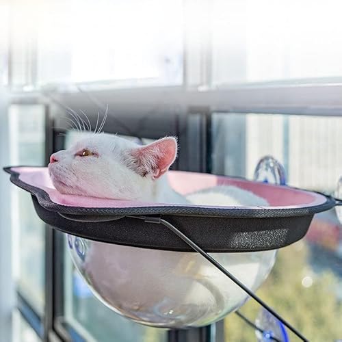 LvSenLin Hamaca creativa para Gatos, cama Suave y cálida para dormir, cápsula espacial Con ventosa, colgante para Gatos, alféizar de Ventana para Tomar EL sol, cama, suministros para mascotas von LvSenLin