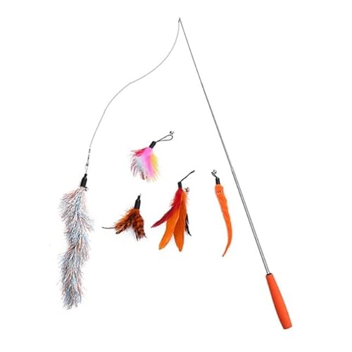 LvSenLin Interactive Cat Toy Funny Simulation Feather Bird with Bell Cat Stick Toy for Kitten Playing Teaser Wand Toy Cat von LvSenLin