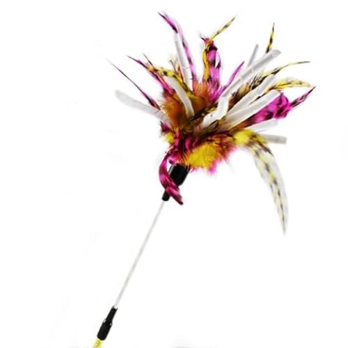 LvSenLin Interactive Cat Toy Funny Simulation Feather Bird with Bell Cat Stick Toy for Kitten Playing Teaser Wand Toy Cat von LvSenLin