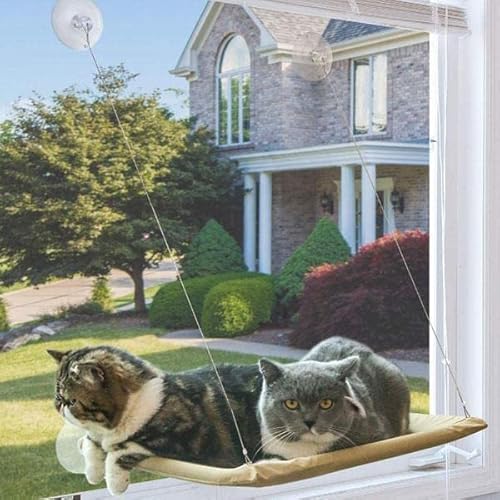 LvSenLin Linda hamaca para Gatos, Camas colgantes para Gatos, cómoda hamaca para Ventana de gato, cama Con Manta, Camas de asiento suaves desmontables von LvSenLin