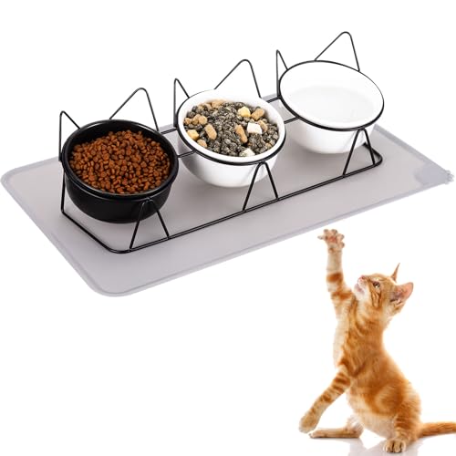 Lvefyti Katzennapf 3er Set, Erhöhter Futternapf Keramik Katzen Napfset Katzenschale Porzellan mit Unterlage Einzeln Erhöht für Hauskatzen Kätzchen 15°Gekippter Wassernapf für Hunde mit Matte(Schwarz) von Lvefyti