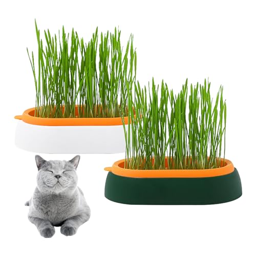 Lvjkes Keimglas für Sprossen, 2 Pcs Zellen Sämling Plug Trays, Wiederverwendbare Seed Starter Container für Baumschule Wachsen Pflanzen Vermehrung Keimung, Samen Kunststoffschalen, 18 x 8 x 4,4 cm von Lvjkes