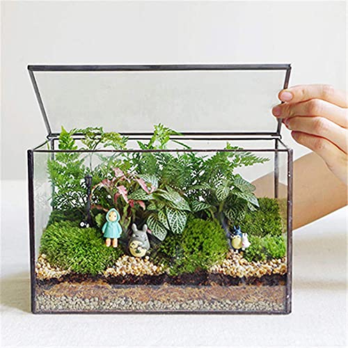 Glas-Pflanzgefäße, Terrarium mit Deckel, geometrische Pflanzen, Terrarienbehälter für Moos, Zimmerpflanzen, Tischplatte, rechteckig, schwarz, Terrarium, Pflanzkasten für Schreibtisch, 21,6 cm L x 12,9 von libproqia