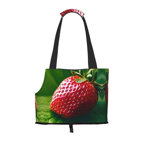 Strawberry Stilvolle und tragbare Haustier-Crossbody-Tasche – Haustier-Tragetasche für kleine Hunde – Haustier-Tragetasche, Crossbody-Tasche für Haustiere von Lxqlss