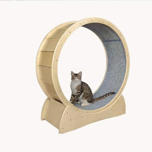 Leises Laufband, Laufband, Katzenspielzeug, rundes großes Rad, für Kätzchen, Katzen und Haustiere von Lxwyq