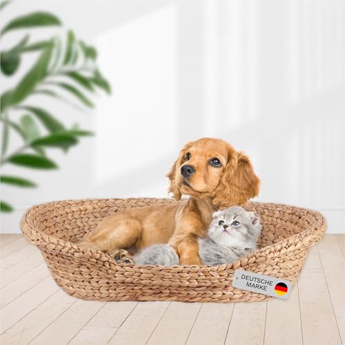 Lycce Katzenbett Hundebett für kleine Hunde | Kissen waschbar bei 30°C | ovale Form mit hohem Rand | Wasserhyazinthe | Betten, Decken & Möbel für Katzen | Gr. 2 (72 x 56 x 17 cm) von Lycce