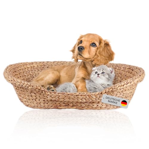 Lycce Katzenbett Hundebett für kleine Hunde | Kissen waschbar bei 30° | ovale Form mit hohem Rand | Wasserhyazinthe | Betten, Decken & Möbel für Katzen | Gr. 2 (72 x 56 x 17 cm) von Lycce