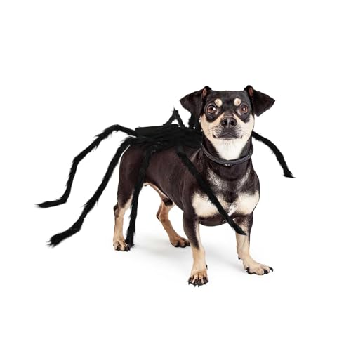 Hundekostüme für Halloween, Spinnenkostüm, kleine bis große Hunde, Halloween-Kostüm, individuelles Halloween-Kostüm für Haustierwelpen, Cosplay-Spaß von Lylyzoo