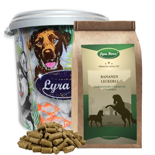 Lyra Horse® | 5 kg Bananen Leckerli Pferdefutter in 30 L Tonne | Snacks aus Hafer, Weizen & Bananenchips | Ausgewogene Nährstoffquelle | Vitaminreiche Leckerlis für alle Pferde | Reich an Kalzium von Lyra Pet