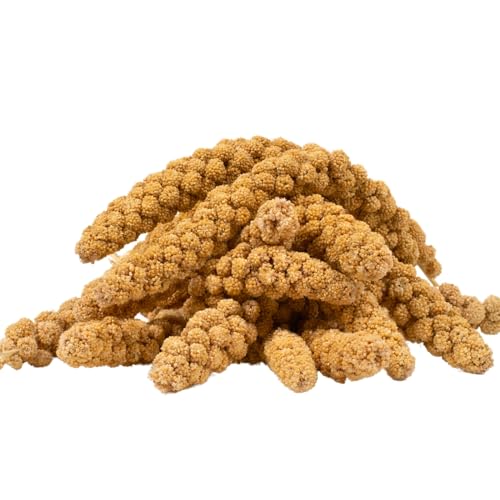 Lyra Pet® | 1 kg Kolbenhirse gelb | Ganzjähriges Vogelfutter für Ziervögel & Wildvögel | Handverlesene gelbe Hirse | Nährstoffreiche, naturbelassene Hirsekolben | Für Wellensittiche & Kanarienvögel von Lyra Pet