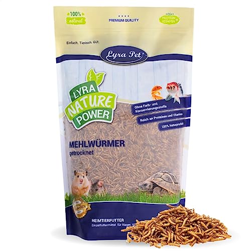 Lyra Pet® | 1 kg Mehlwürmer getrocknet | Proteinreiches Vogelfutter | Für Wildvögel, Nager, Reptilien & Fische | Nahrhaftes Futter | Energiespender für Insektenfresser | Vitamine & Mineralstoffe von Lyra Pet