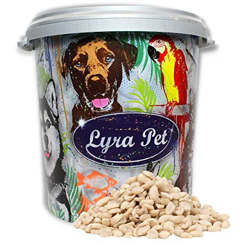 Lyra Pet® | 10 kg Erdnusskerne Splits + 30 L Tonne | Wildvogelfutter Ganzjährig | Nährstoffreiches Streufutter | Energiespender für Wildvögel | Erdnüsse ohne Schale | Vogelfutter Sommer und Winter von Lyra Pet