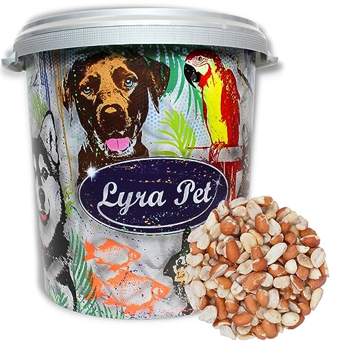 Lyra Pet® | 10 kg Erdnusskerne Splits Blanchiert & mit Haut Gemischt + 30 L Tonne | Neue Ernte | Ganzjahres Vogelfutter für Wildvögel | Ballaststoffe & Vitamine | Fetthaltige Erdnüsse mit & ohne Haut von Lyra Pet