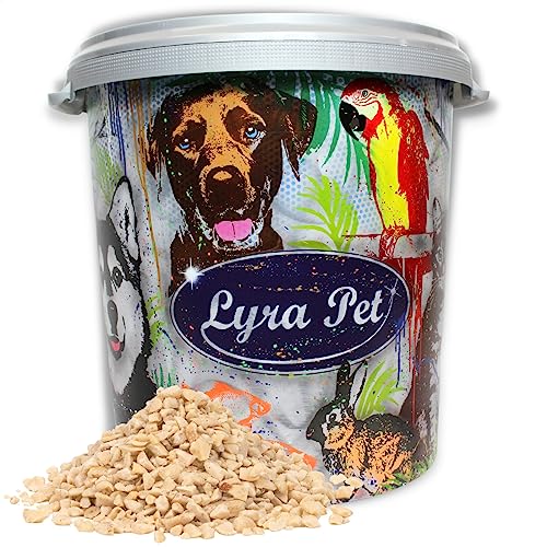 Lyra Pet® | 10 kg Erdnusskerne Weiß Gehackt + 30 L Tonne | Neue Ernte | Ganzjahres Vogelfutter für Körnerfresser | Natürlich & Energiereich | Schalenfreie Erdnüsse | Fettreiches Wildvogelfutter von Lyra Pet