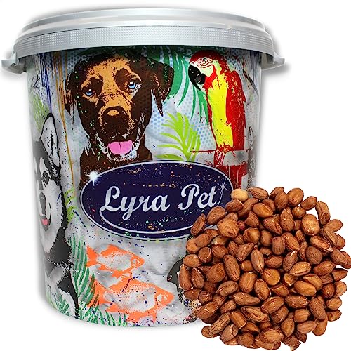 Lyra Pet® | 10 kg Erdnusskerne mit Haut + 30 L Tonne | HK Argentinien | Wildvogelfutter für Ganze Jahr | Ballaststoffe & Energie für Wildvögel | Fettfutter für Körnerfresser | Ideal im Sommer & Winter von Lyra Pet