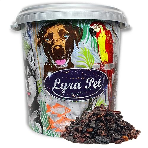 Lyra Pet® | 10 kg Rosinen + 30 L Tonne | Ganzjahres Wildvogelfutter | Futterrosinen für Wildvögel | Energiespendes Vogelfutter für Sommer & Winter | Vitaminreiches Streufutter | Geeignet für Balkon von Lyra Pet