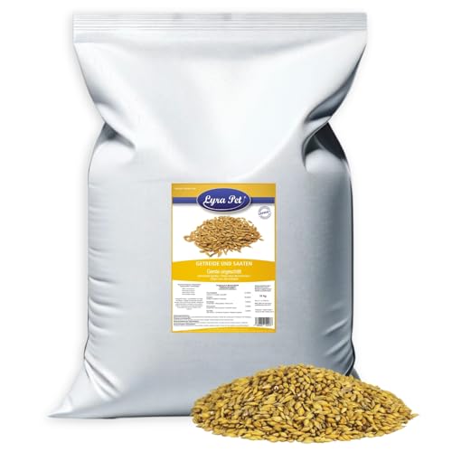 Lyra Pet® 10 kg Gerste ungeschält | Reich an Ballaststoffen & Proteinen | Ergänzungsfutter für Wildvögel & Kleinnager | Nährstoffreiches, Ganzjähriges Vogelfutter | Ideal als Zusatz für Streufutter von Lyra Pet